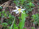 photo thumbnail #5