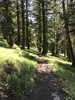 photo thumbnail #10