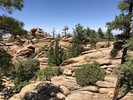 photo thumbnail #6