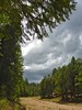 photo thumbnail #13