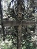 photo thumbnail #11