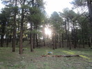photo thumbnail #6