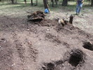 photo thumbnail #9