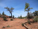 photo thumbnail #13