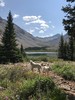 photo thumbnail #6