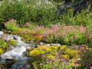 photo thumbnail #8