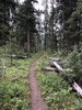 photo thumbnail #3