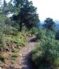 photo thumbnail #1