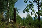 photo thumbnail #2