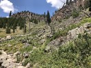 photo thumbnail #3