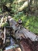 photo thumbnail #3