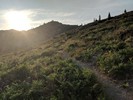 photo thumbnail #2