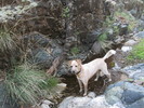 photo thumbnail #7