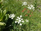 photo thumbnail #10