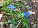 photo thumbnail #6