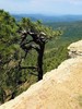 photo thumbnail #15
