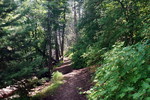 photo thumbnail #11