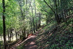 photo thumbnail #13