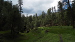 photo thumbnail #4