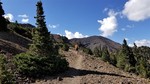 photo thumbnail #12