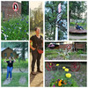 photo thumbnail #12
