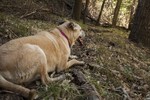 photo thumbnail #10