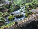photo thumbnail #2