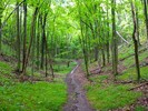 photo thumbnail #1