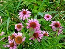 photo thumbnail #11