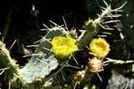 photo thumbnail #12
