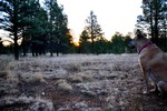 photo thumbnail #3