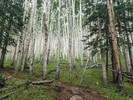 photo thumbnail #1