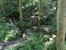 photo thumbnail #9