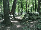 photo thumbnail #4