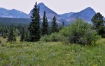 photo thumbnail #7