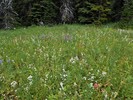 photo thumbnail #8
