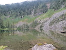 photo thumbnail #7