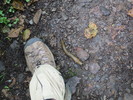photo thumbnail #9
