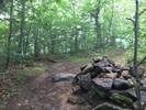 photo thumbnail #10