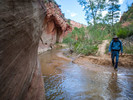 photo thumbnail #3