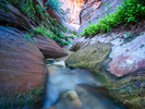 photo thumbnail #10