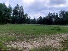photo thumbnail #15