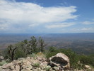 photo thumbnail #8