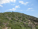 photo thumbnail #10