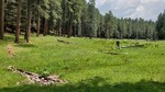 photo thumbnail #7