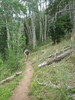 photo thumbnail #12