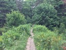 photo thumbnail #3