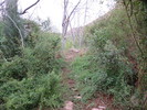photo thumbnail #10