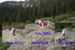 photo thumbnail #2