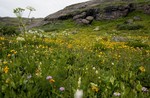photo thumbnail #8